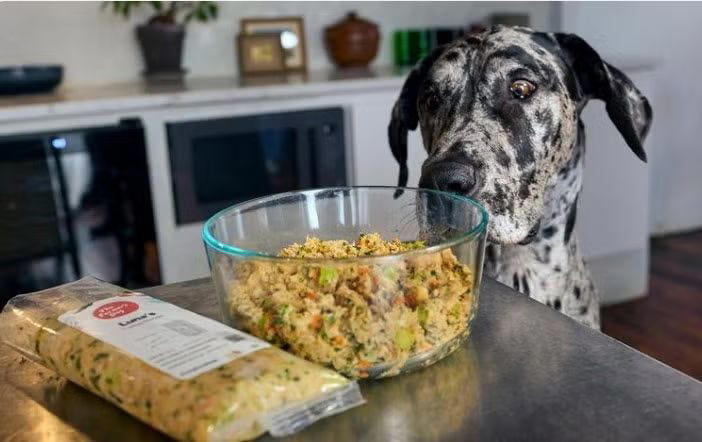 Alex Drummond’s dog is ‘obsessed’ with his food—and it’s now available ...