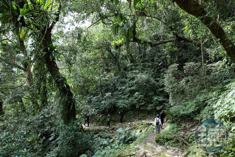 富源國家森林遊樂區環山步道開放了! 春日賞蝶、眺望溪谷瀑布，再泡進黃金湯