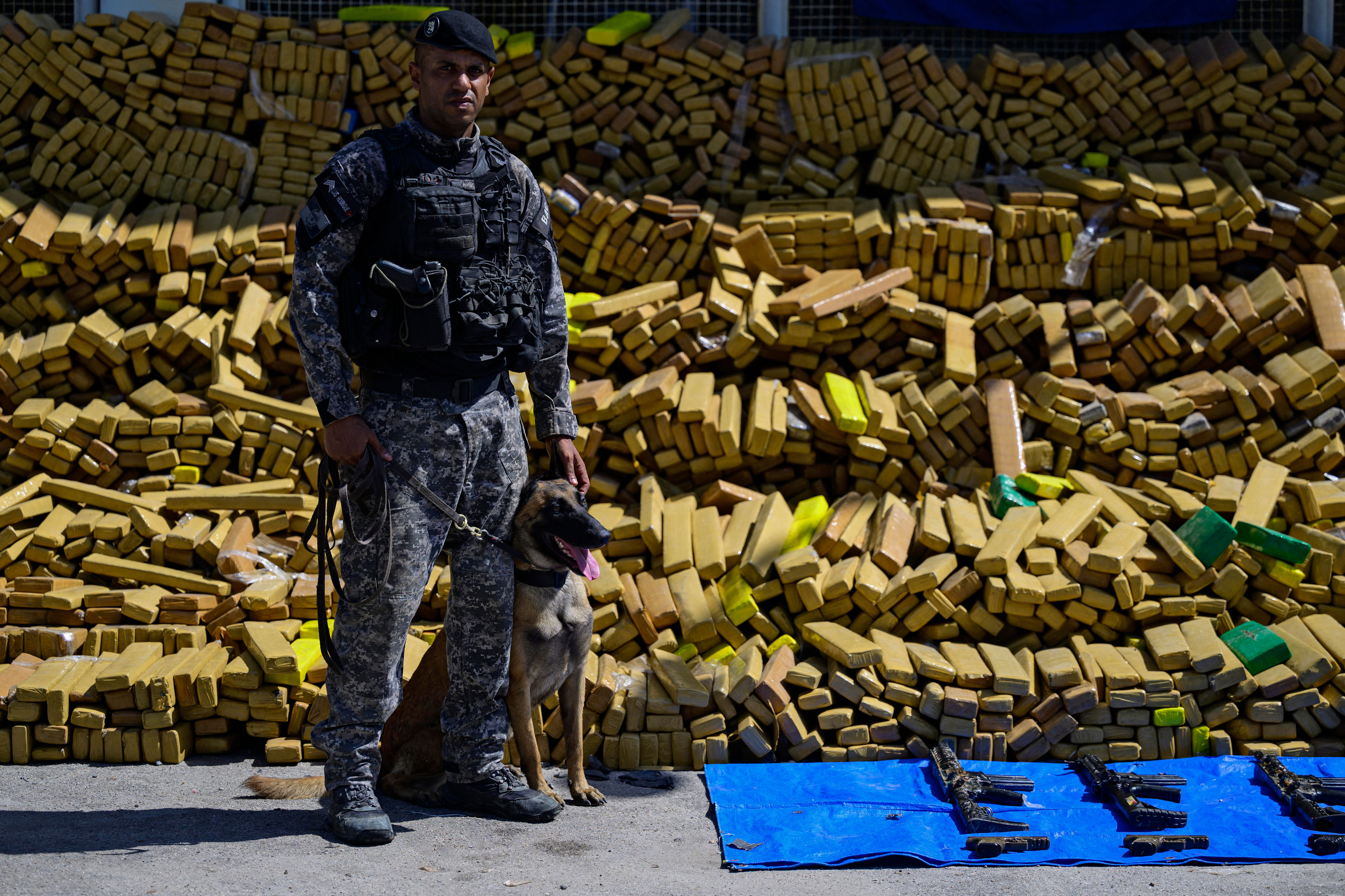Police dog named Hulk sniffs out record 48 tons of marijuana
