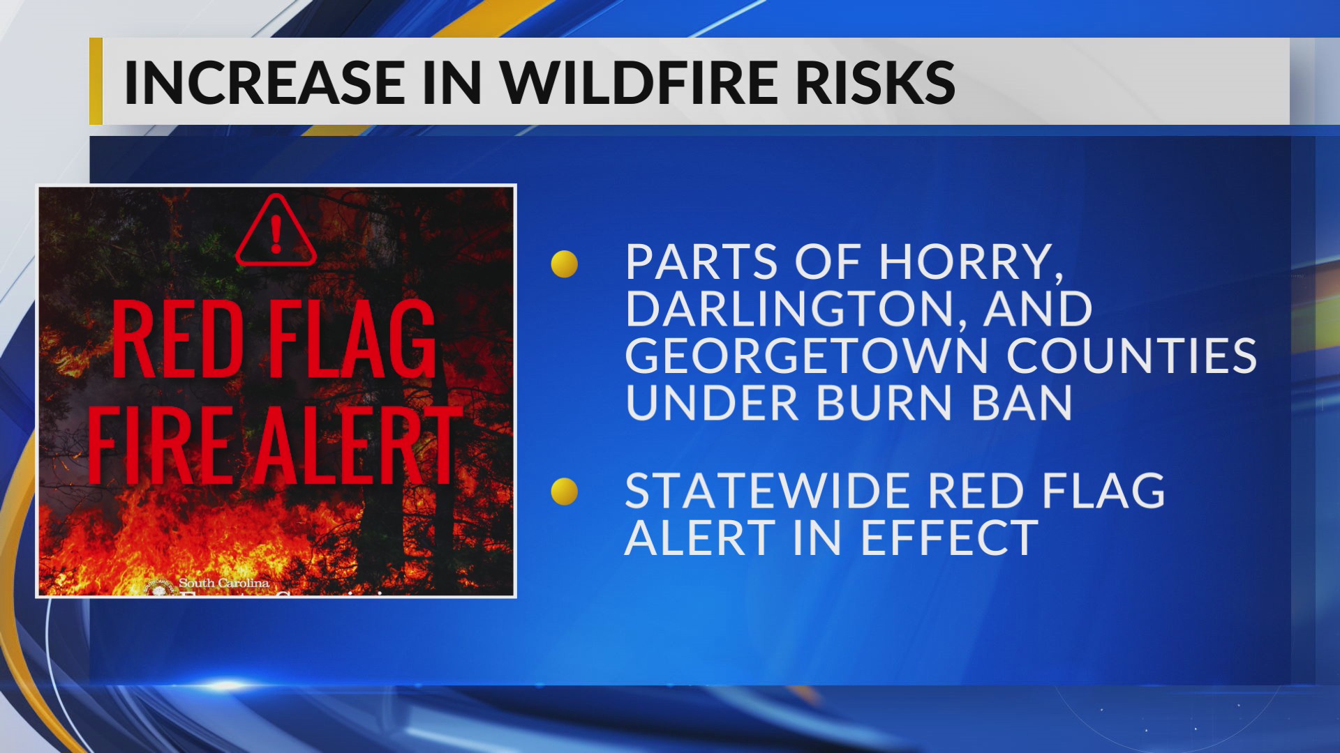 Horry, Darlington, Georgetown counties under burn ban amid statewide ...