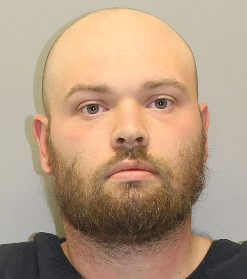 Where is Tanner Horner now? What to know about the former FedEx driver ...