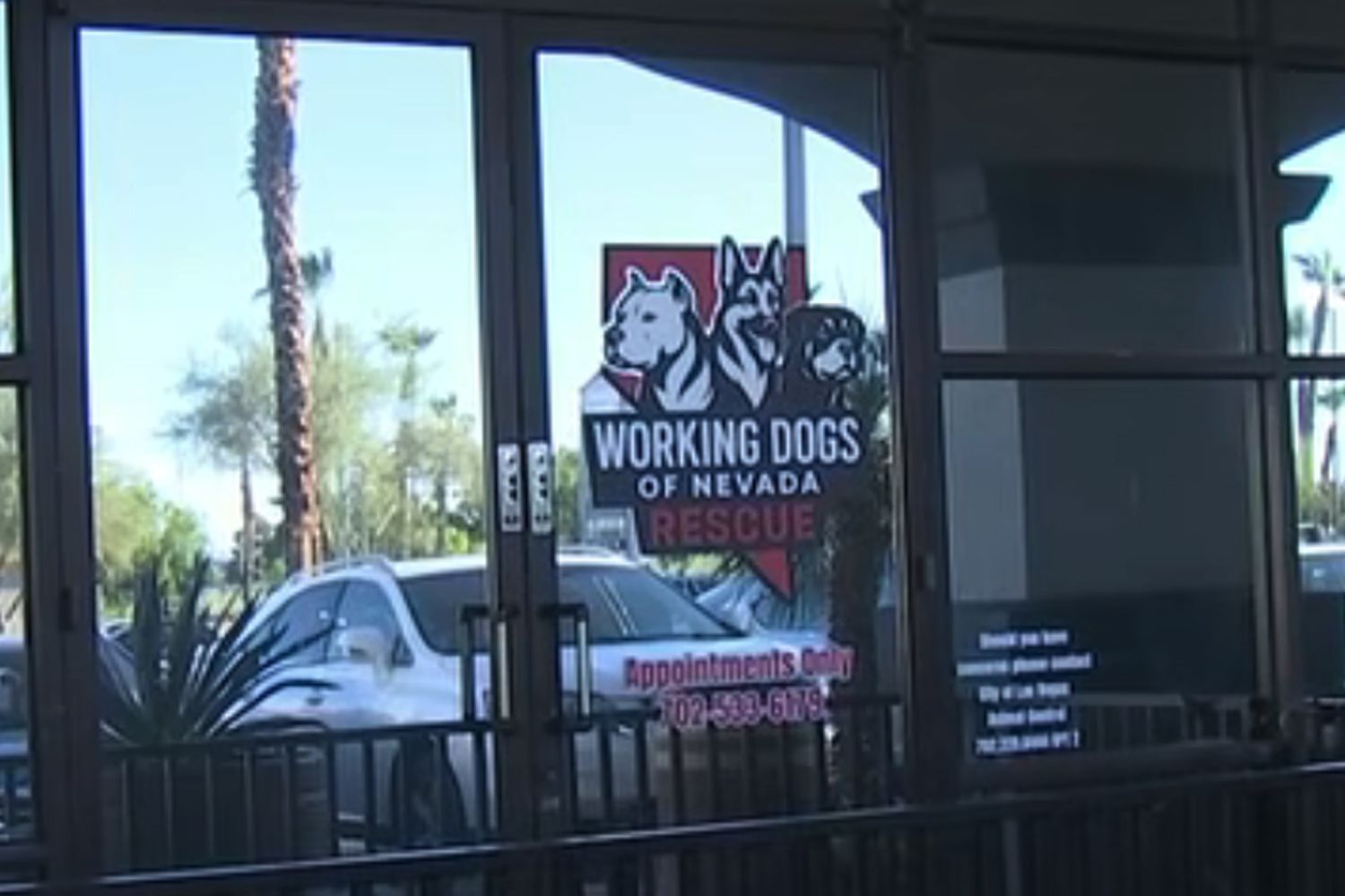 Las Vegas dog rescue workers charged after 35 animals seized in alleged ...