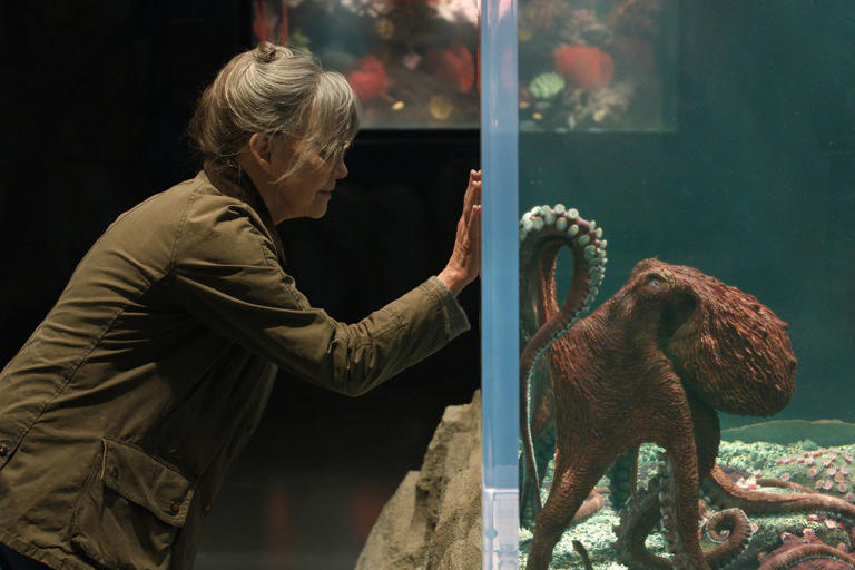 Sally Field in 'Remarkably Bright Creatures' Credit: Courtesy of Netflix