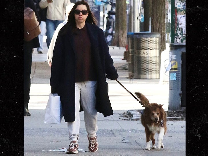 Aubrey Plaza flaunts baby bump for first time while out in NYC, pics ...