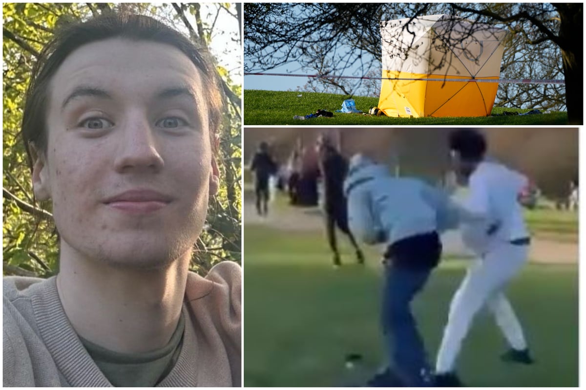 Police seek key witness who may have filmed Primrose Hill stabbing