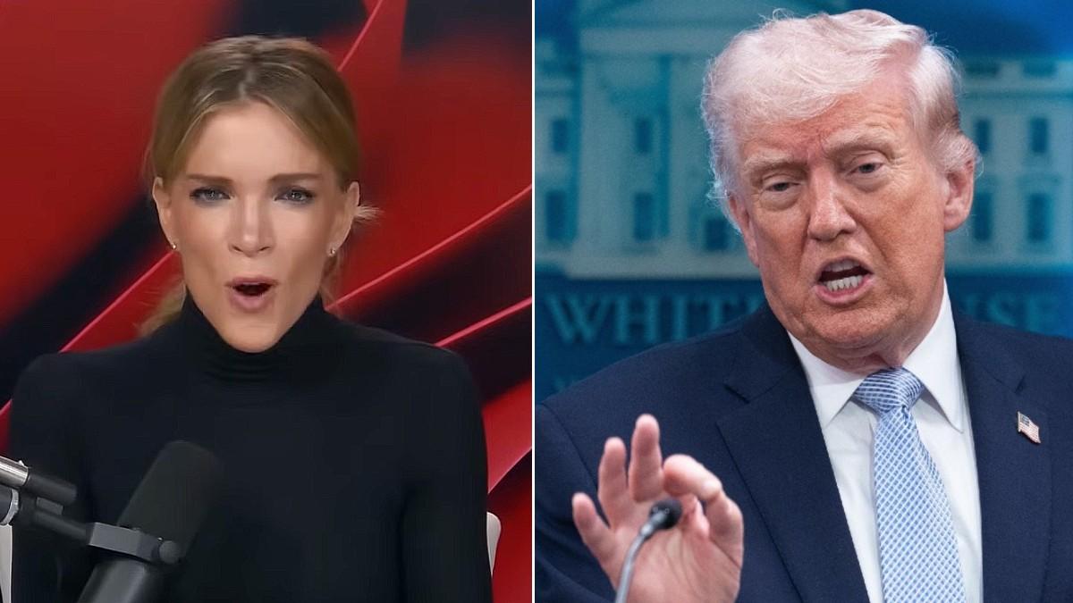 Megyn Kelly rips apart Donald Trump for his 'disgusting' posts: 'It's ...