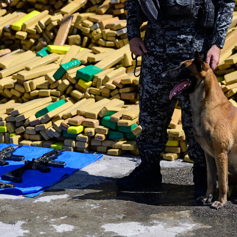 Police dog named Hulk sniffs out record 48 tons of marijuana