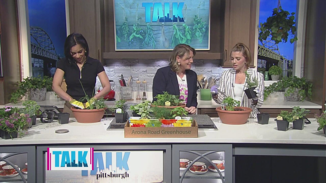 Herbs you can start growing right now