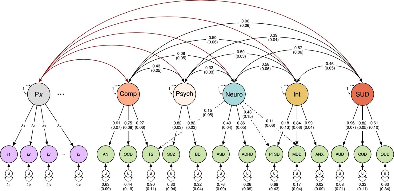 Genetic study links mental and physical illnesses