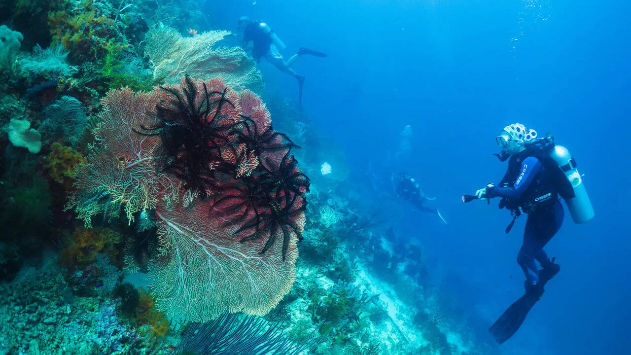 Raja Ampat's marine conservation efforts face nickel mining challenges