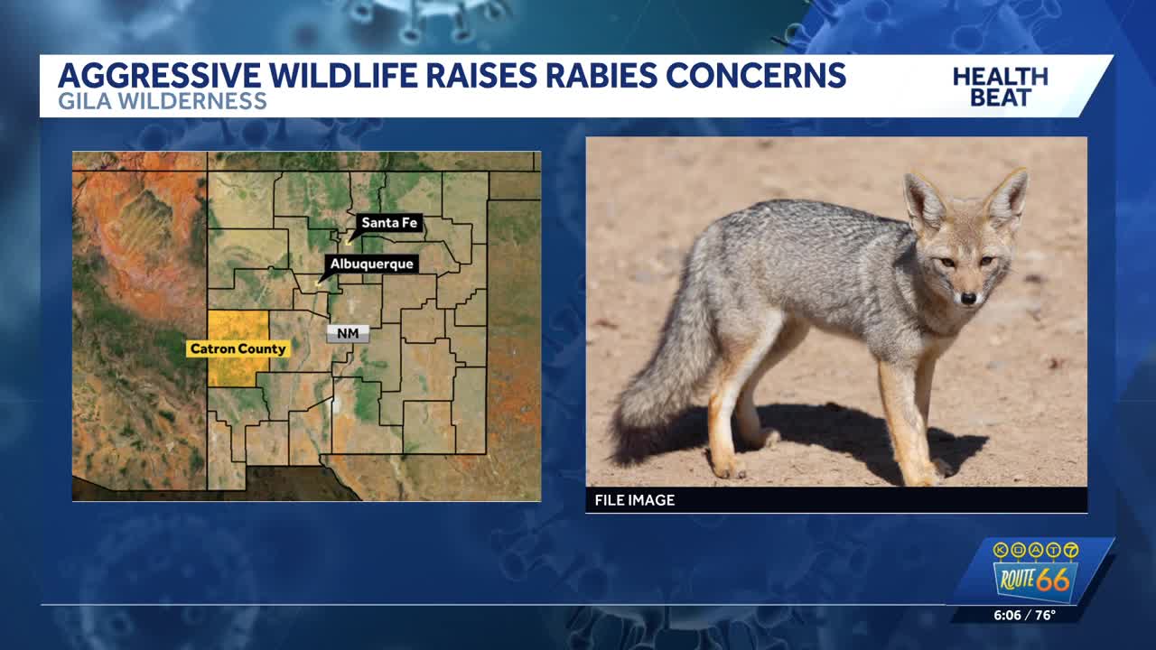 Department of Wildlife reports aggressive wildlife in Gila Forest