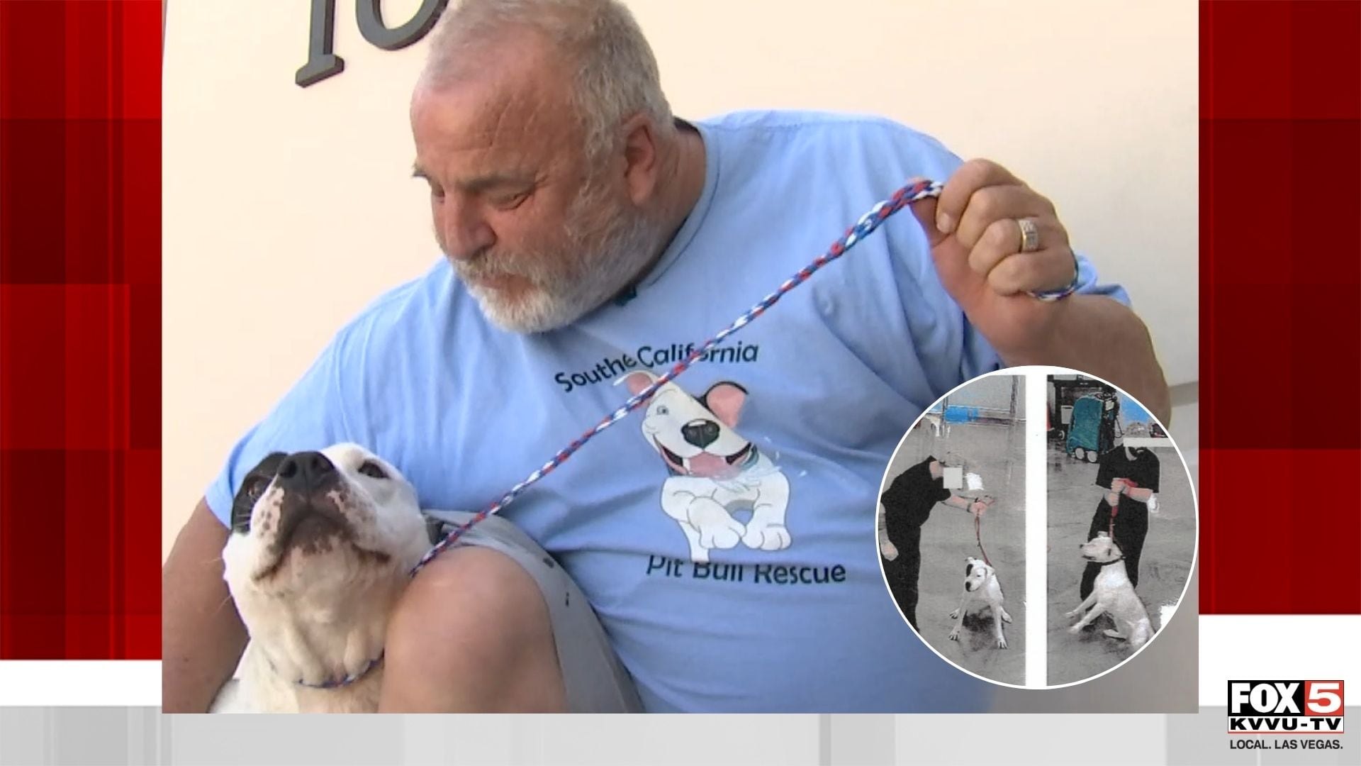 California pit bull rescue founder reunites with dogs seized in Las ...