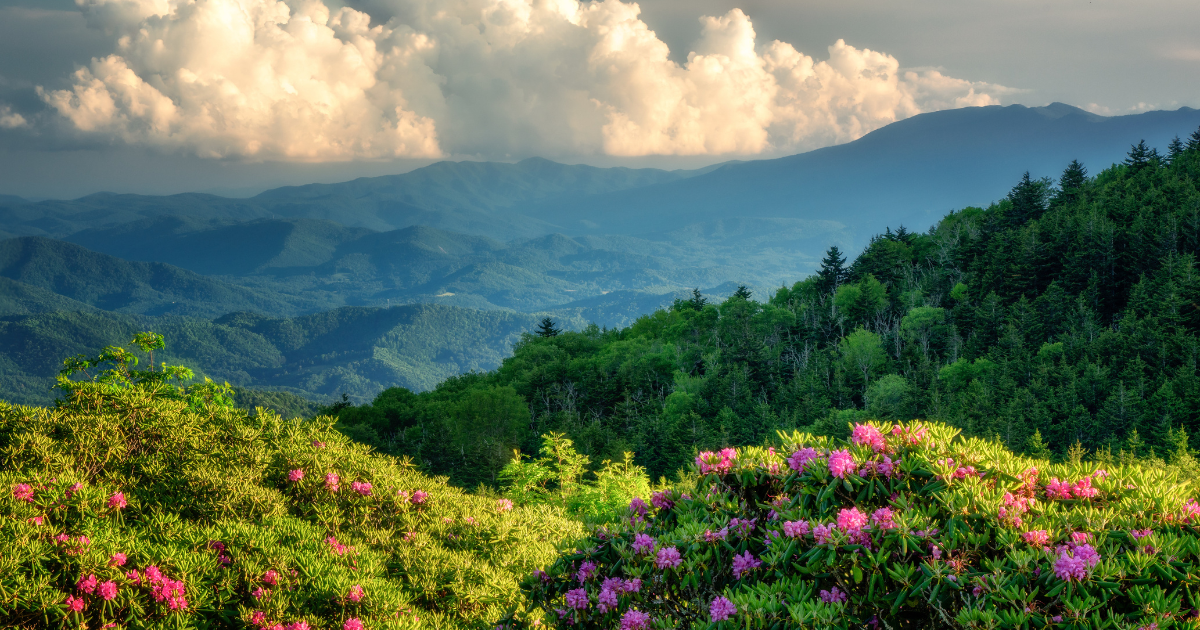 5 beautiful trails in Tennessee that shine in spring