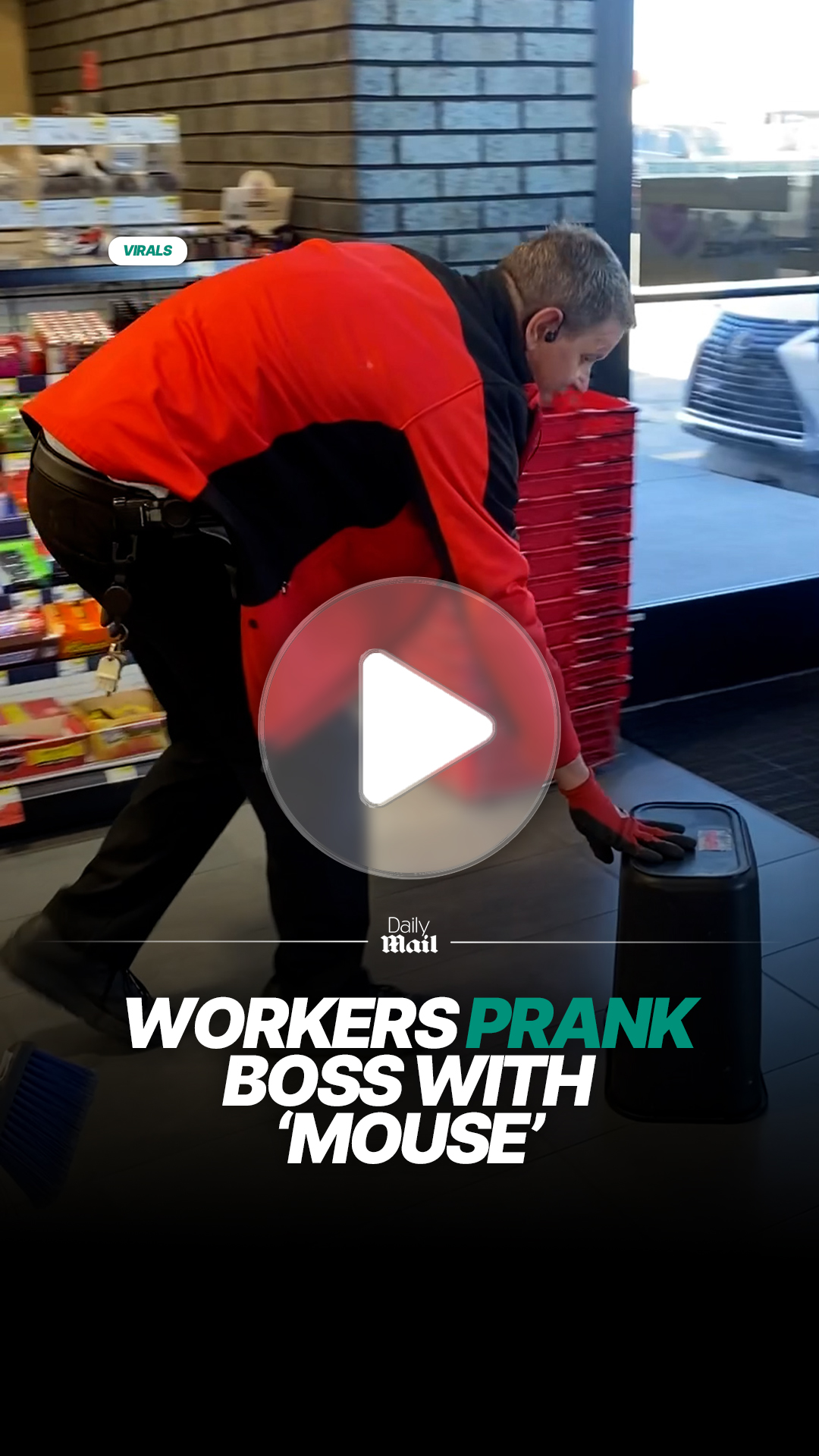 Workers prank boss with fake mouse in office