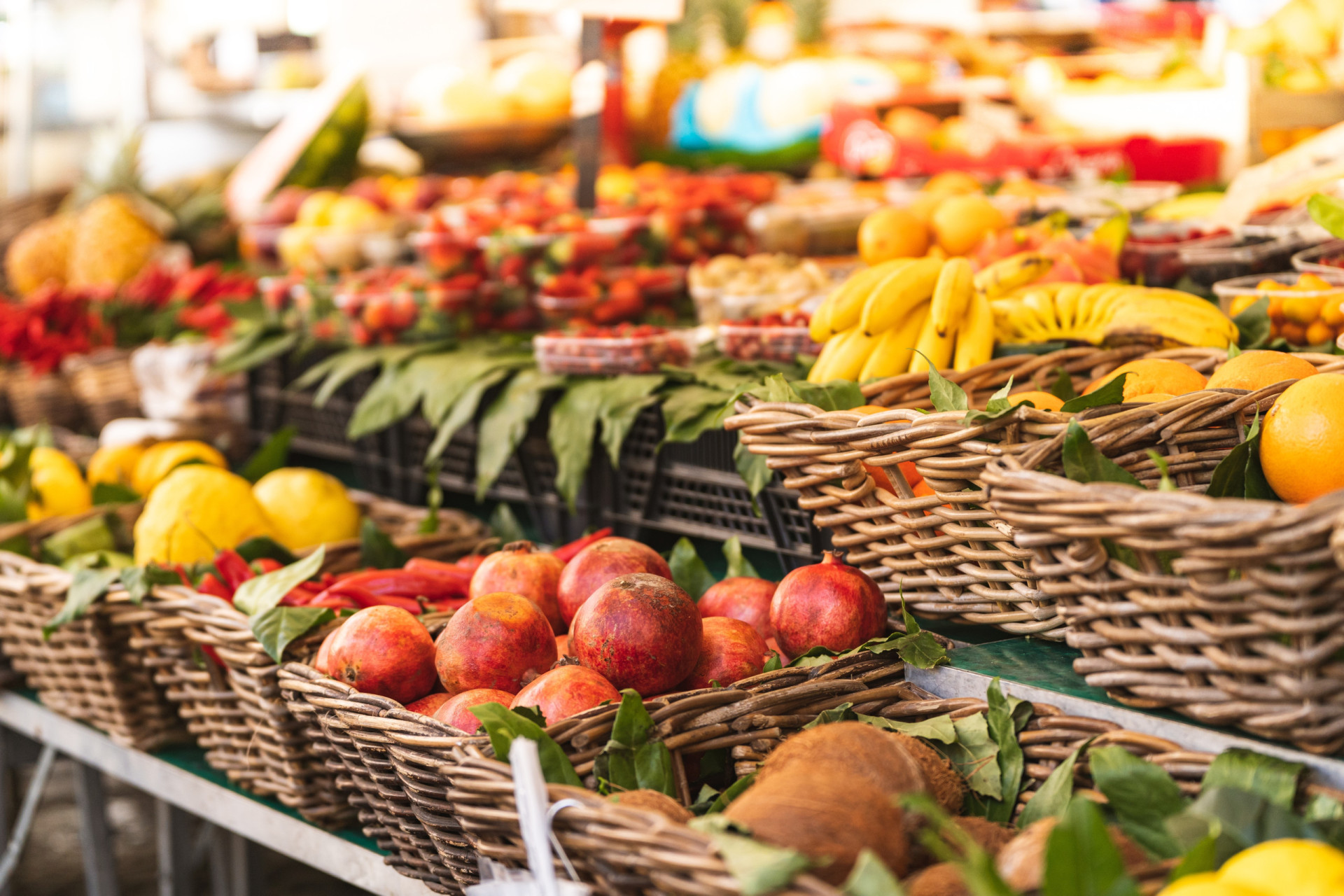 The best foods to eat for a healthy stomach