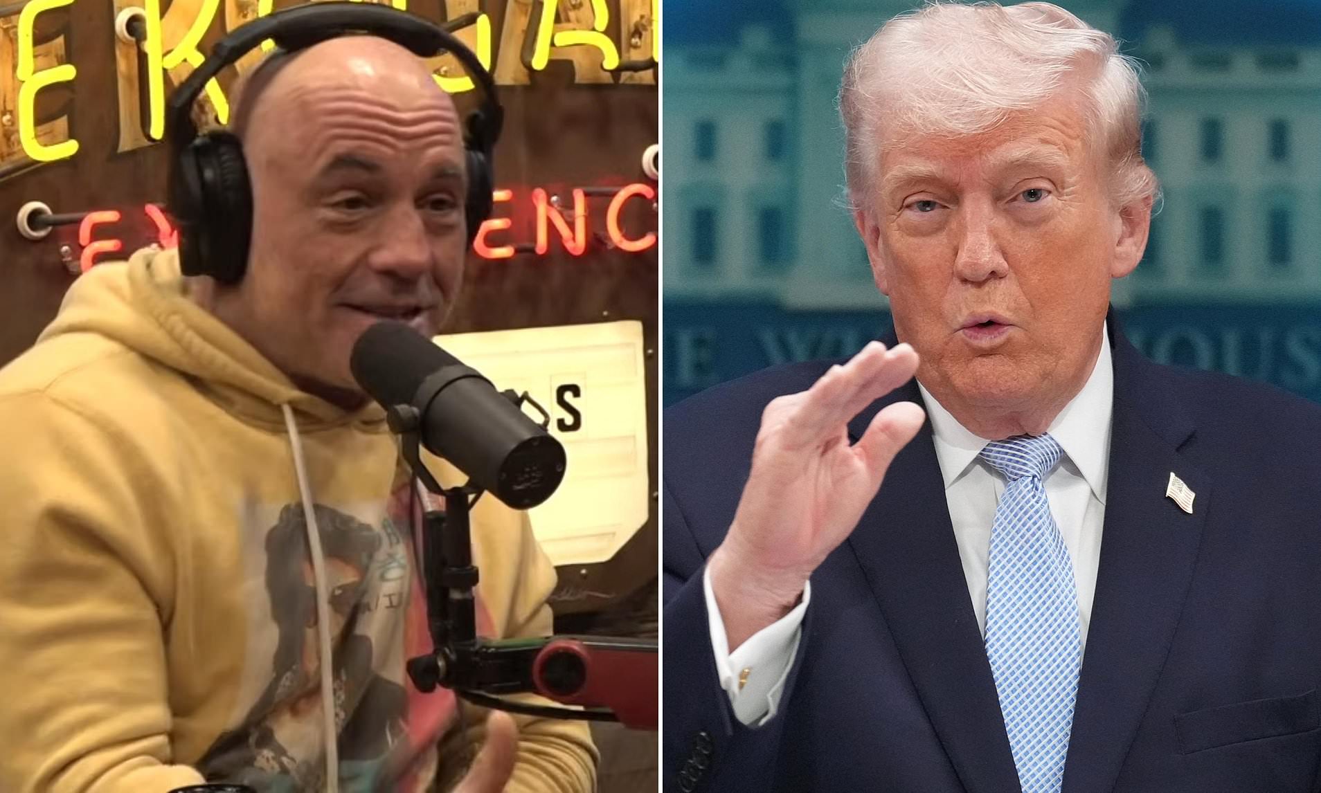 Joe Rogan set to infuriate Trump with very pointed theory on why ...