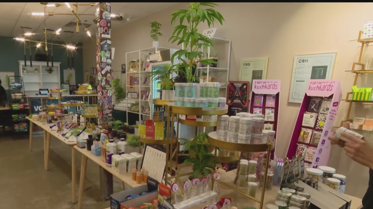 Texas hemp shops sue to block new rules they say threaten their businesses