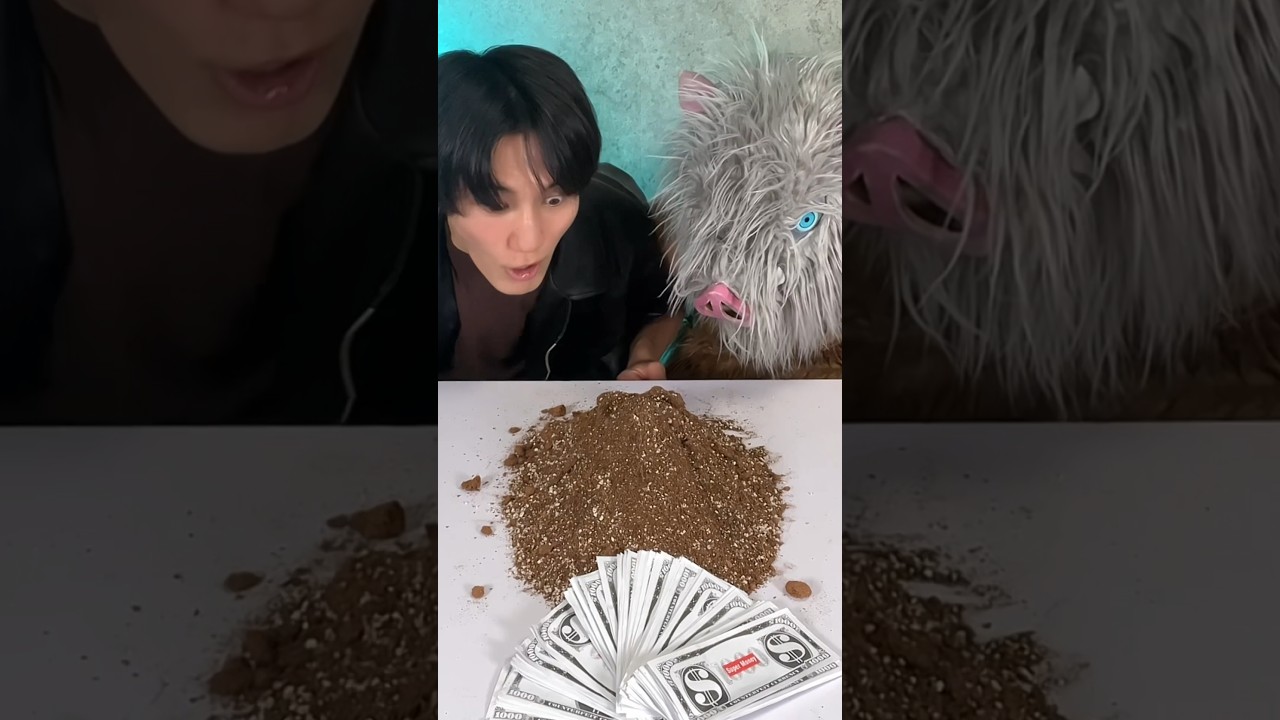 ISSEI × Inosuke🔥 funny video 😂😂😂 brick or solar powerbank?