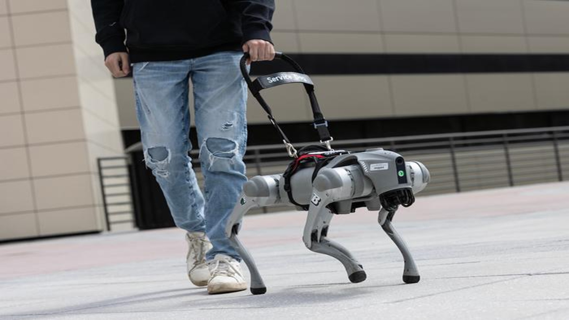 AI-powered robotic guide dog uses voice to guide visually impaired ...