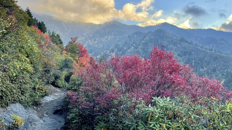 5 beautiful trails in Tennessee that shine in spring
