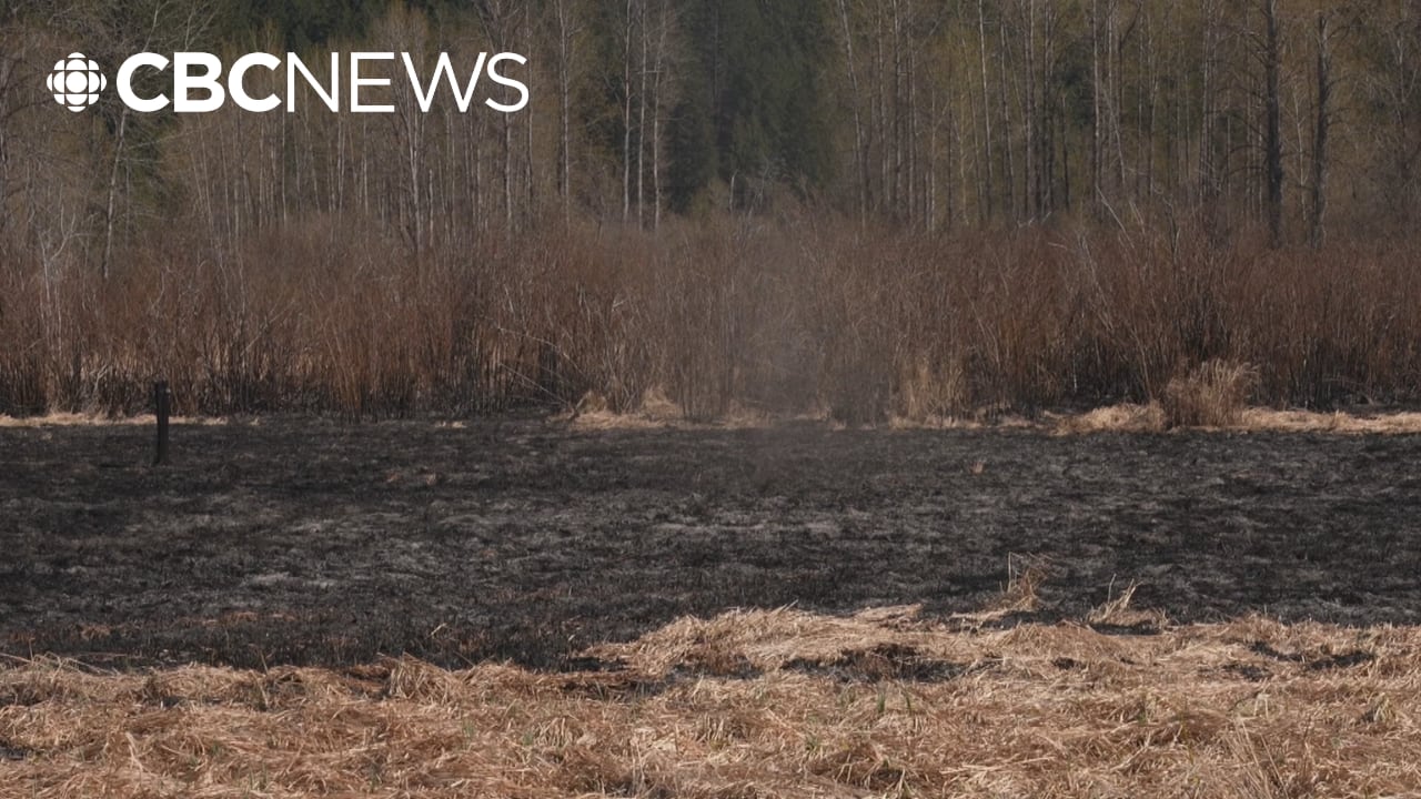 Early season wildfire in Líl̓wat Nation under control after quick response
