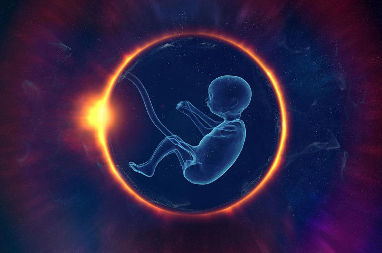 👶 Reproduction in space: an intriguing experiment