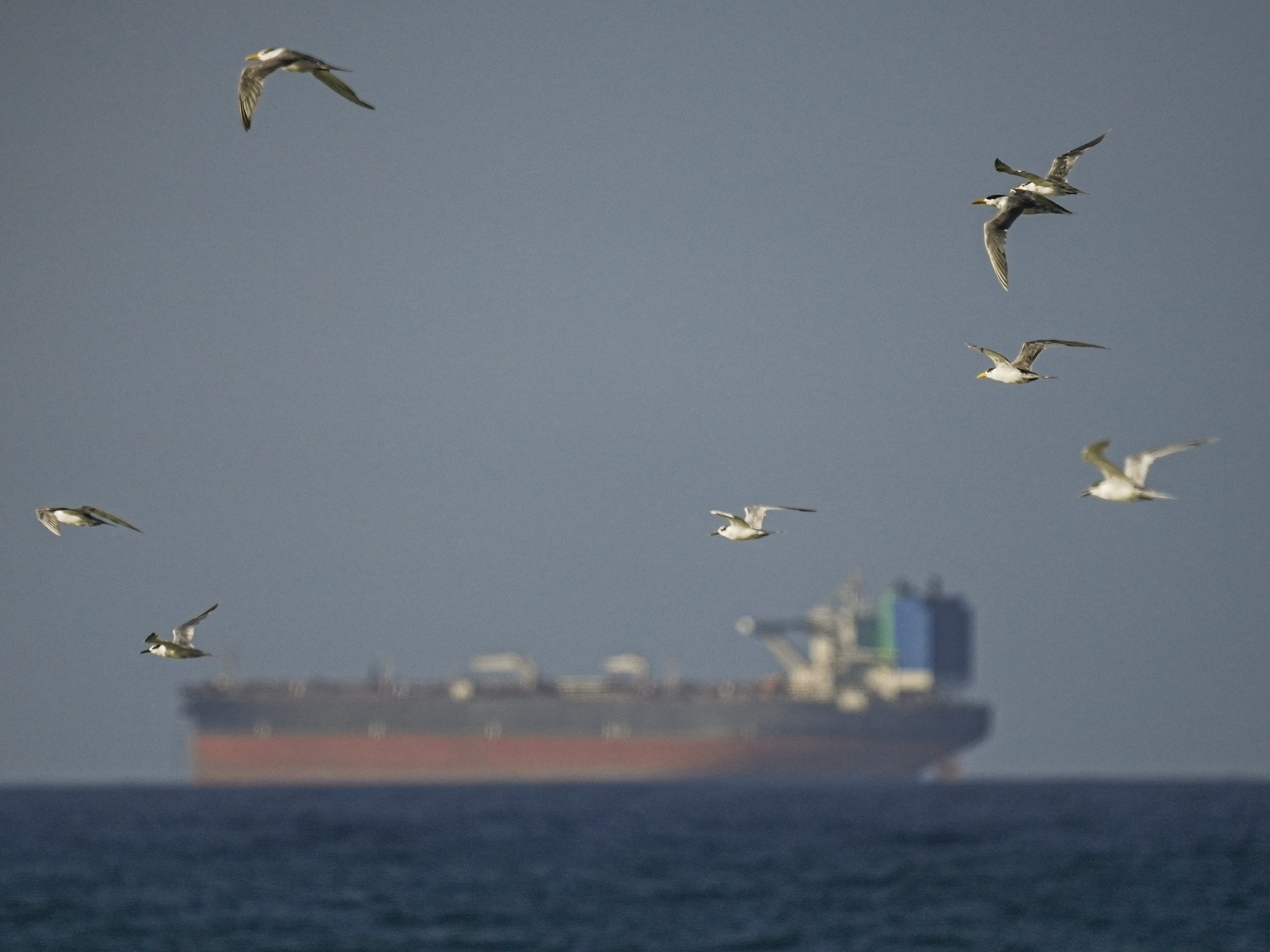 Hormuz shipping is barely moving, despite the US-Iran ceasefire