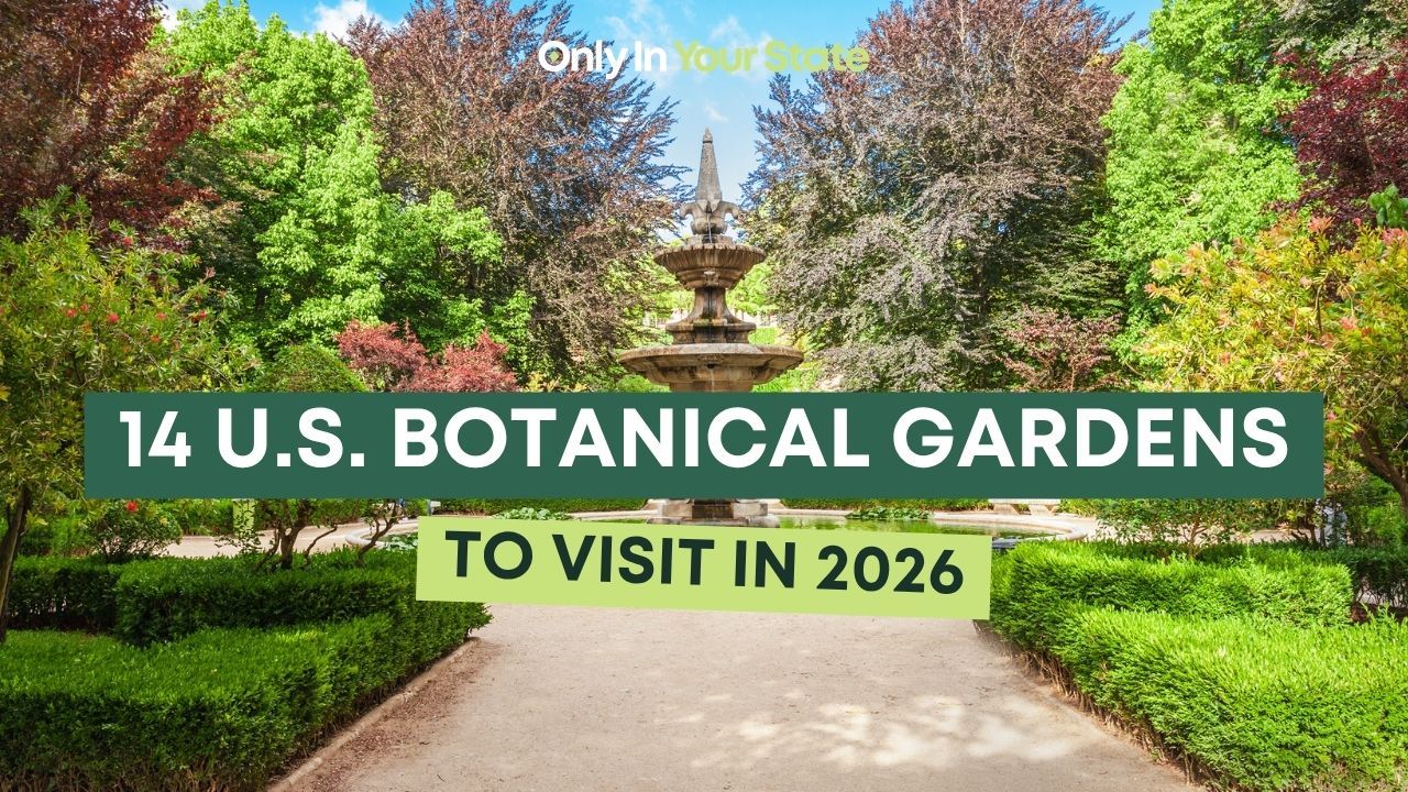 14 botanical gardens across the US to visit in 2026