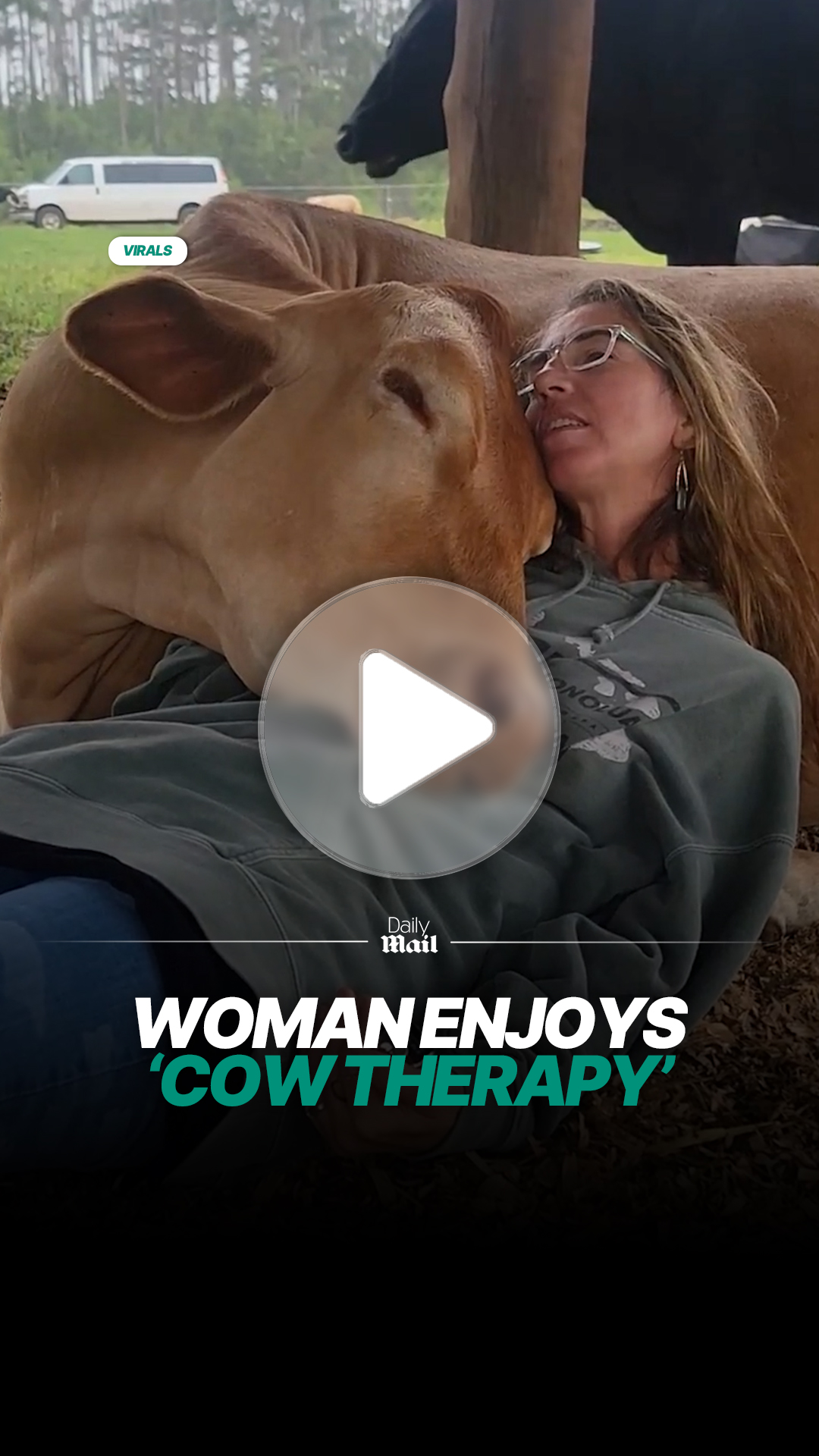 Woman relaxes while bonding with cow in calming session