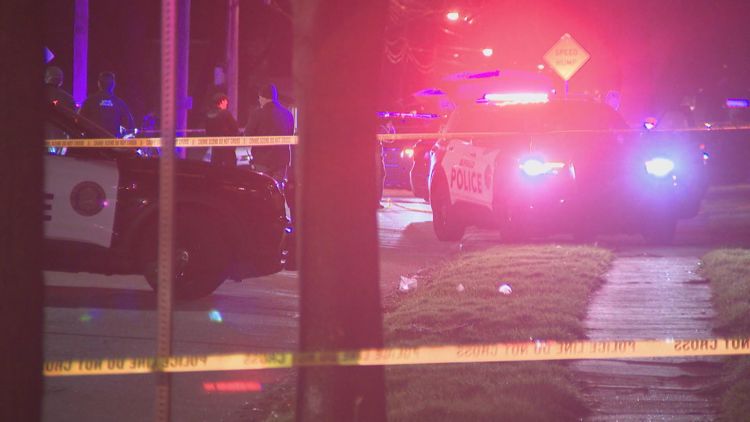 Police investigate deadly shooting after Schiller Park fight