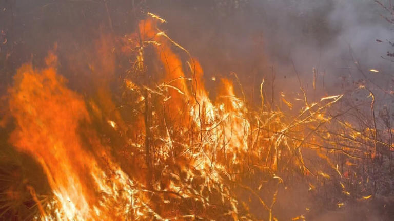 Bay County’s current dry conditions increase the risk of wildfires