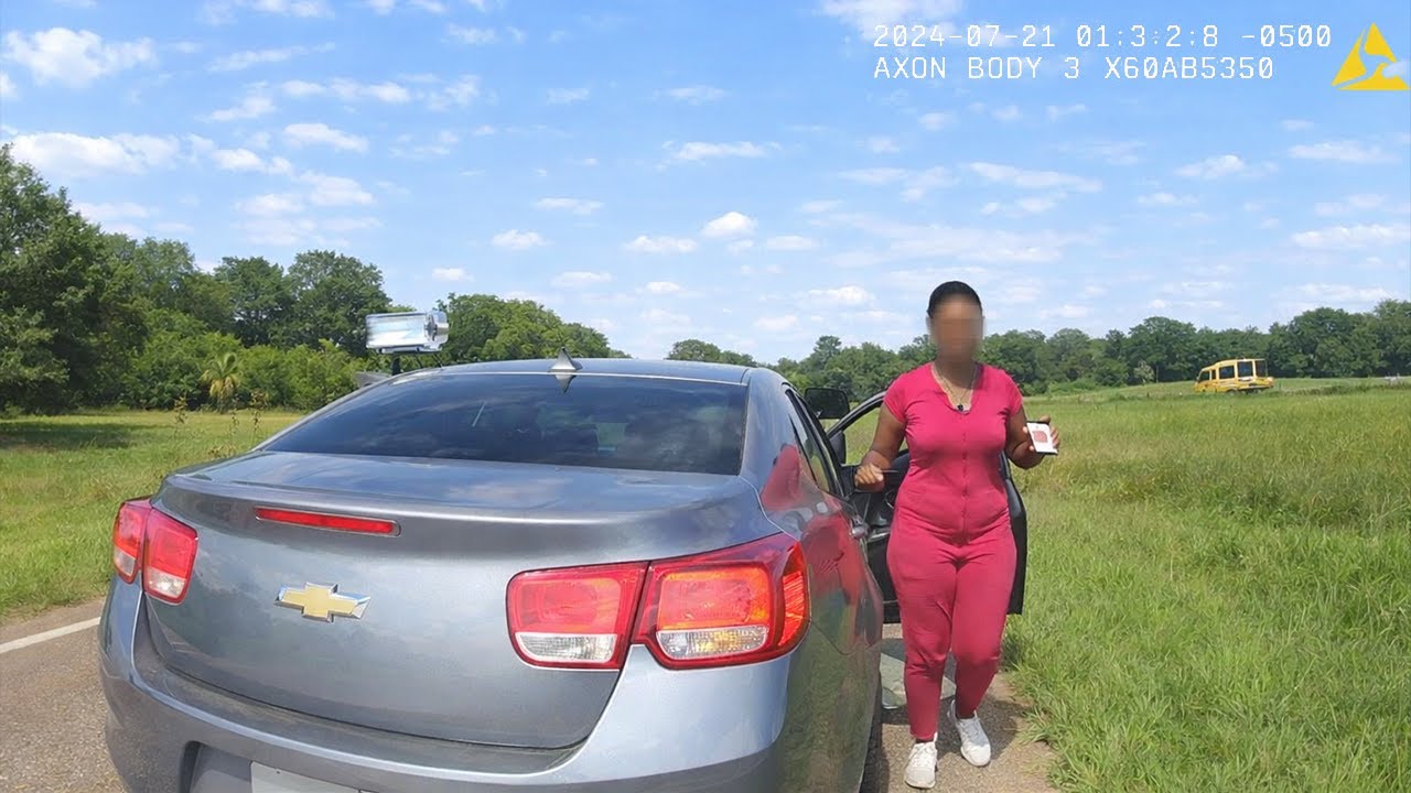 Moments before traffic stop turns into a felony mess
