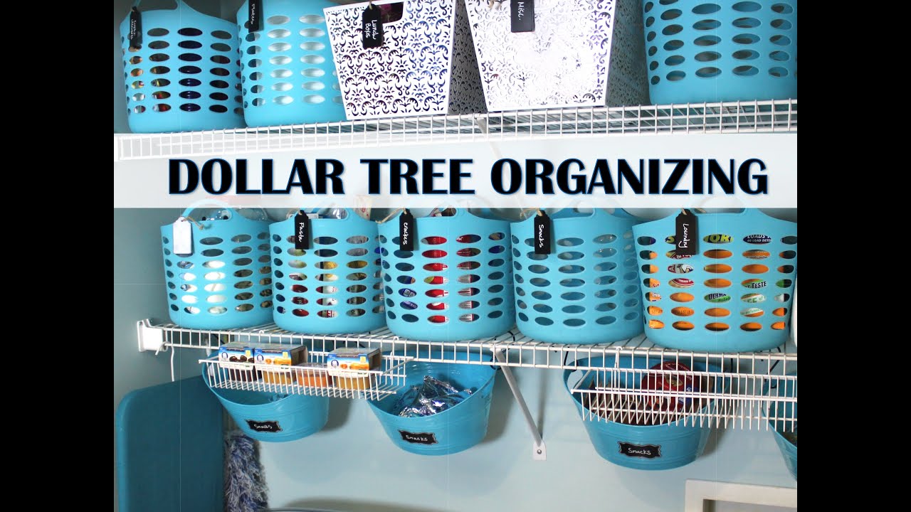 $30 Dollar Tree Laundry Closet & Pantry Makeover | Small Space ...