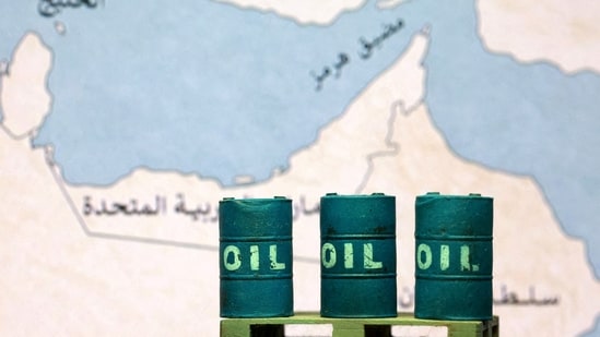 Charts indicate Iran may have put sea mines in Strait of Hormuz: Report