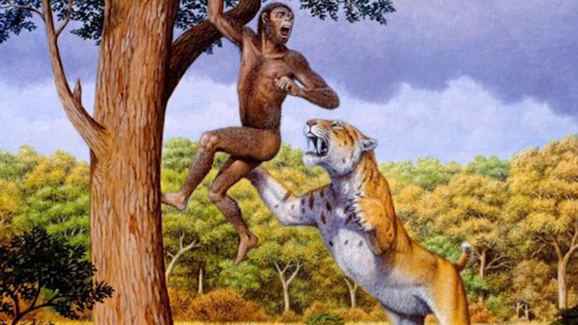 The predator that could kill early humans in a single strike