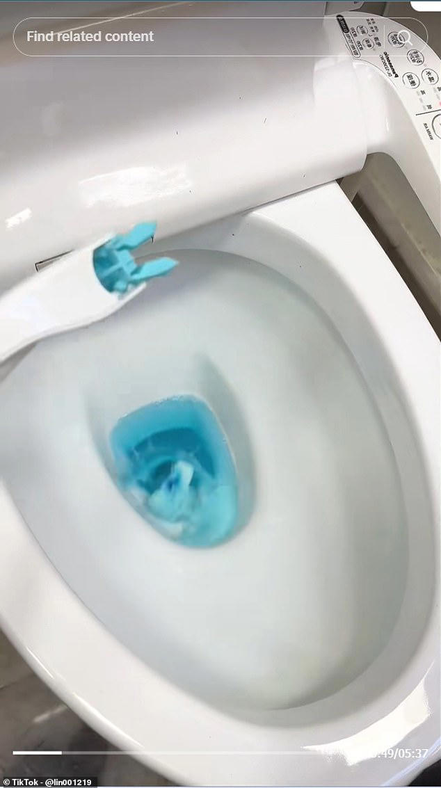 What people in the world's cleanest nation use to scrub their homes ...