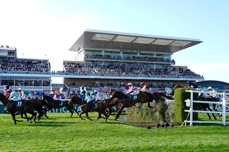Grand National twist as big favourite withdrawn from race in dramatic ...