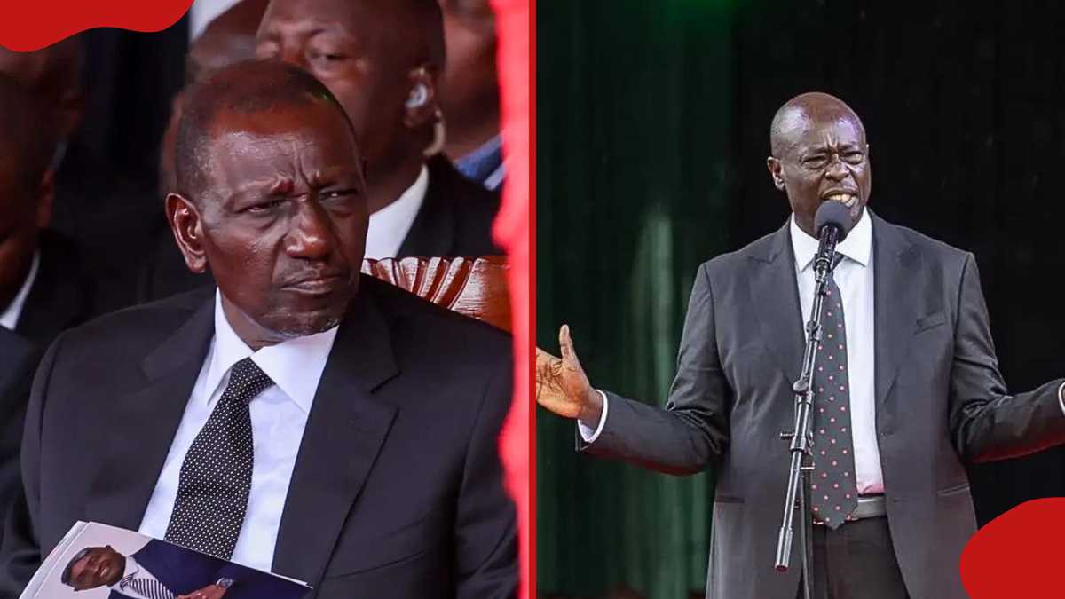 Excitement as William Ruto, Rigathi Gachagua post each other's photos