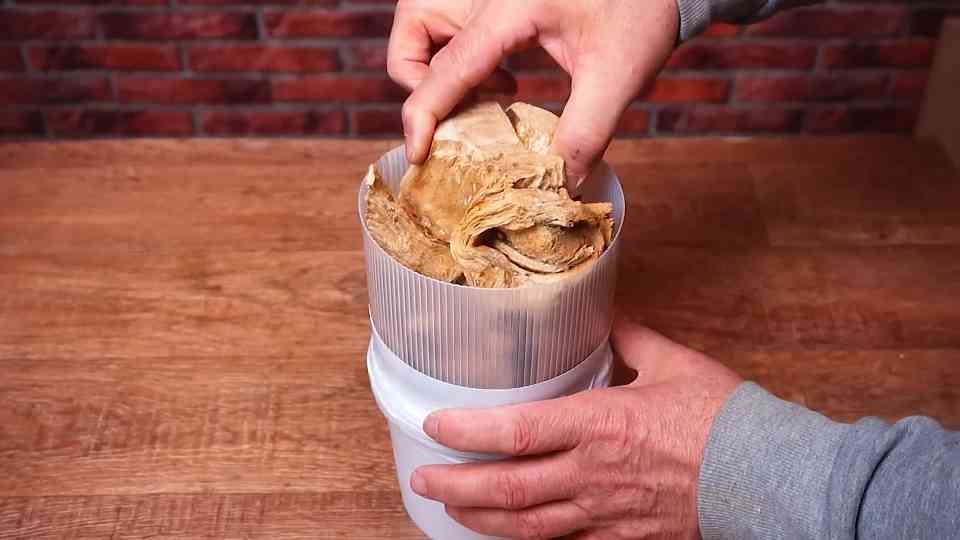 Woodturning a plum tree root