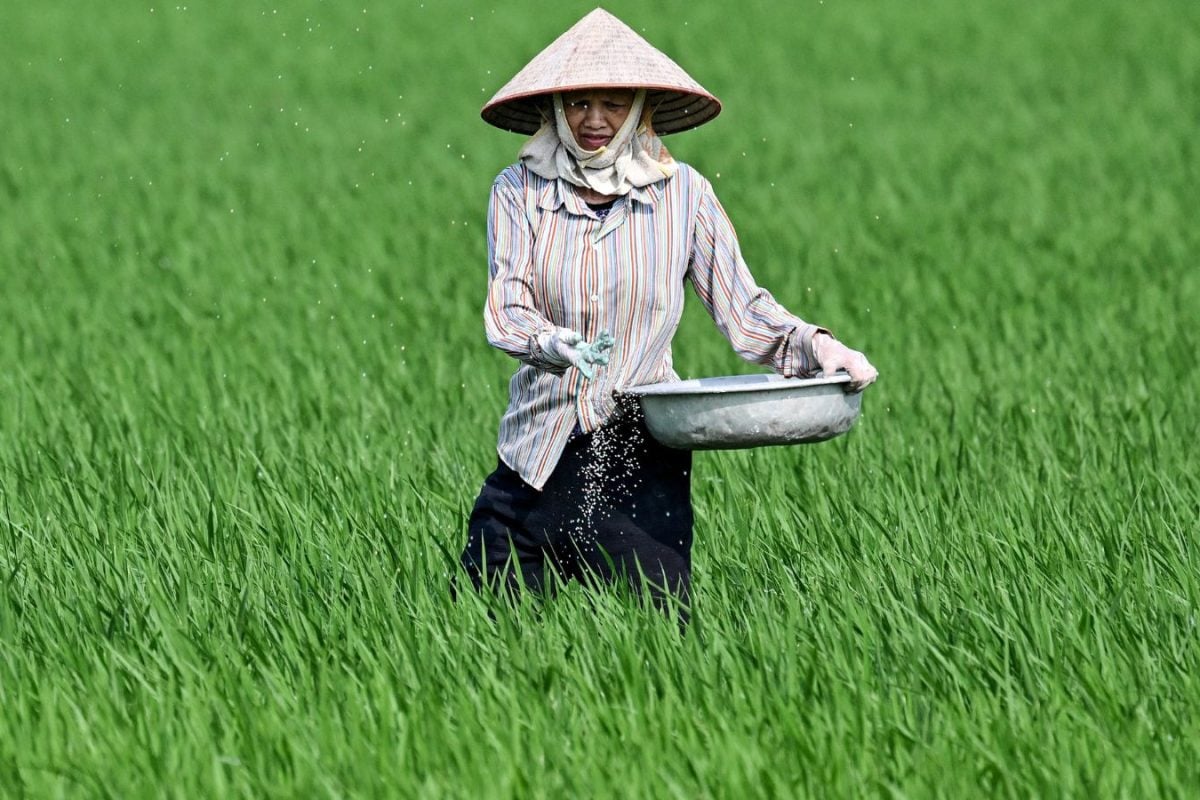 How an Asian country is facing a growing food crisis amid the Iran war ...