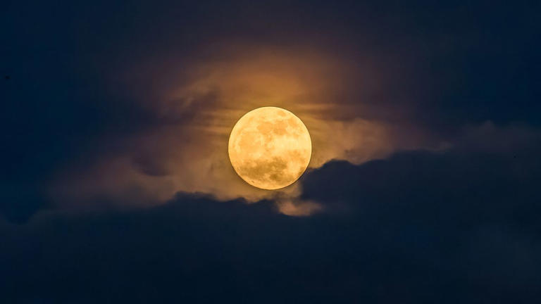 May full moon 2026: When, where and how to see the Flower Moon