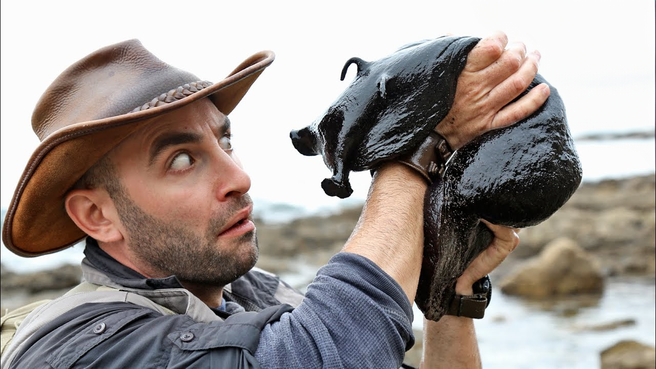 The giant slug that shocked everyone