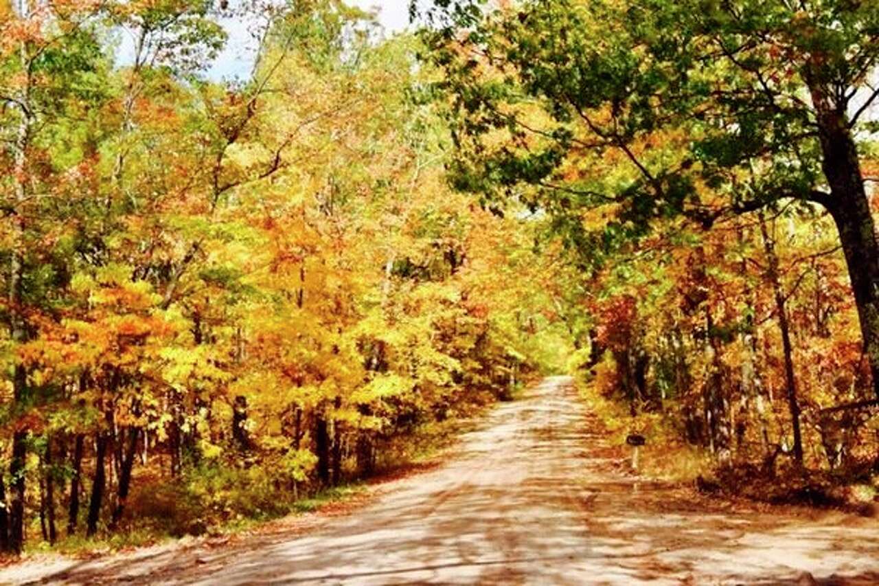 North Country Trail SPW chapter to host October hike at Highbanks Rollaway