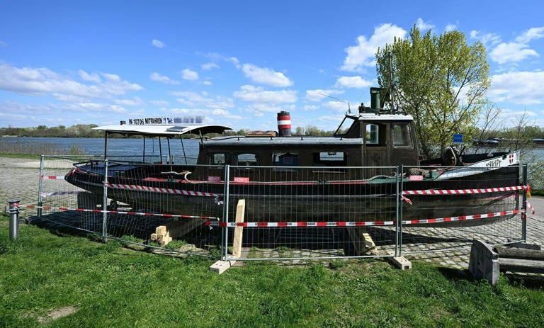 Unbekannte sollen Passagierschiff auf Donau versenkt haben
