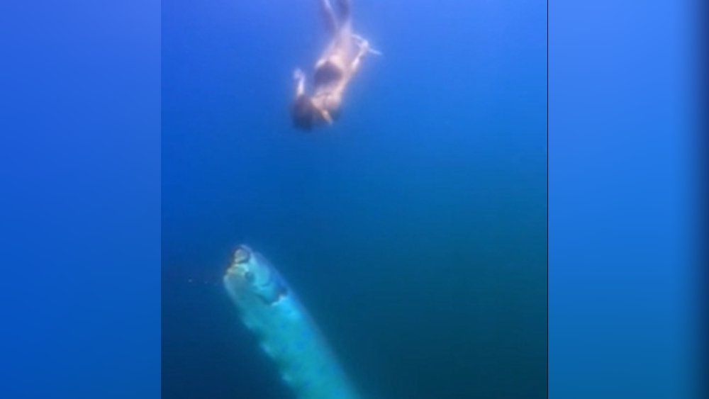 Diver has a rare encounter with the doomsday fish