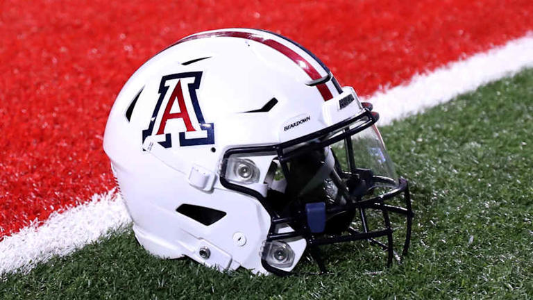 Biggest highlights from Arizona's pro day
