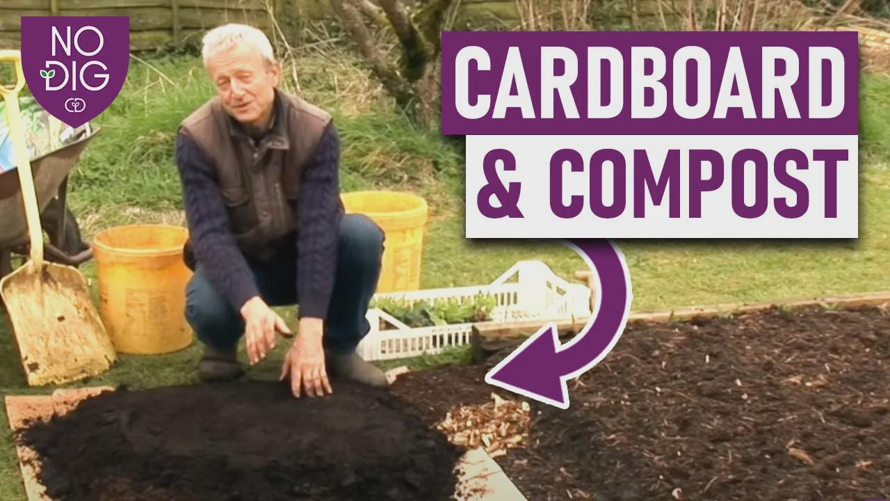 No-dig gardening for beginners: Step-by-step guide with cardboard and ...