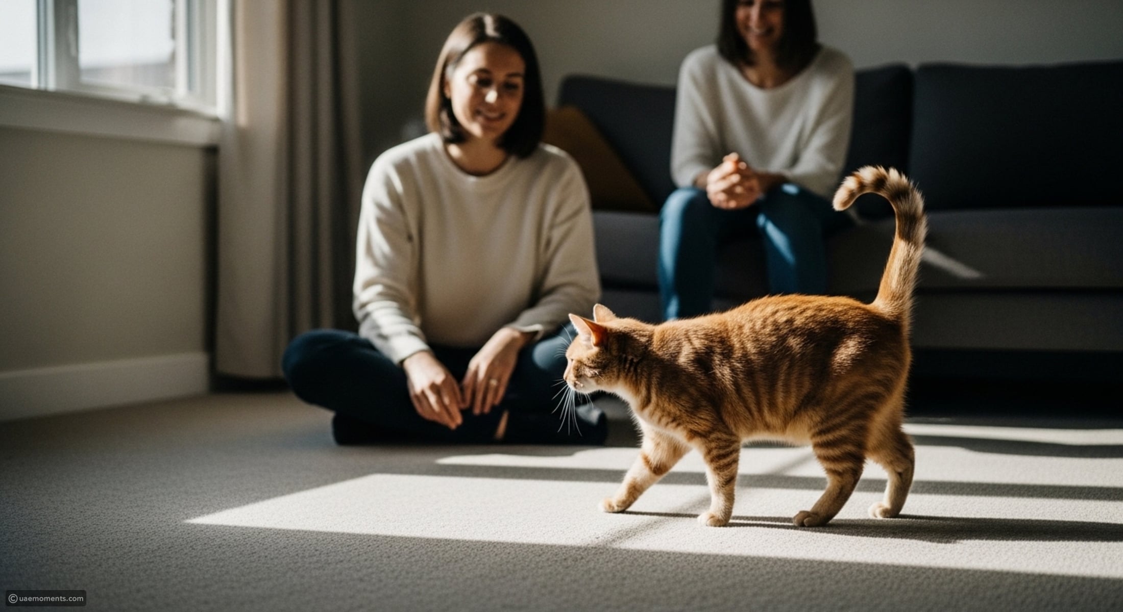 7 subtle behaviors that show someone is naturally great with cats