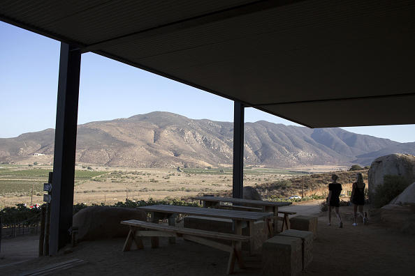 Baja’s wine country getting bus stop, police substation to promote tourism