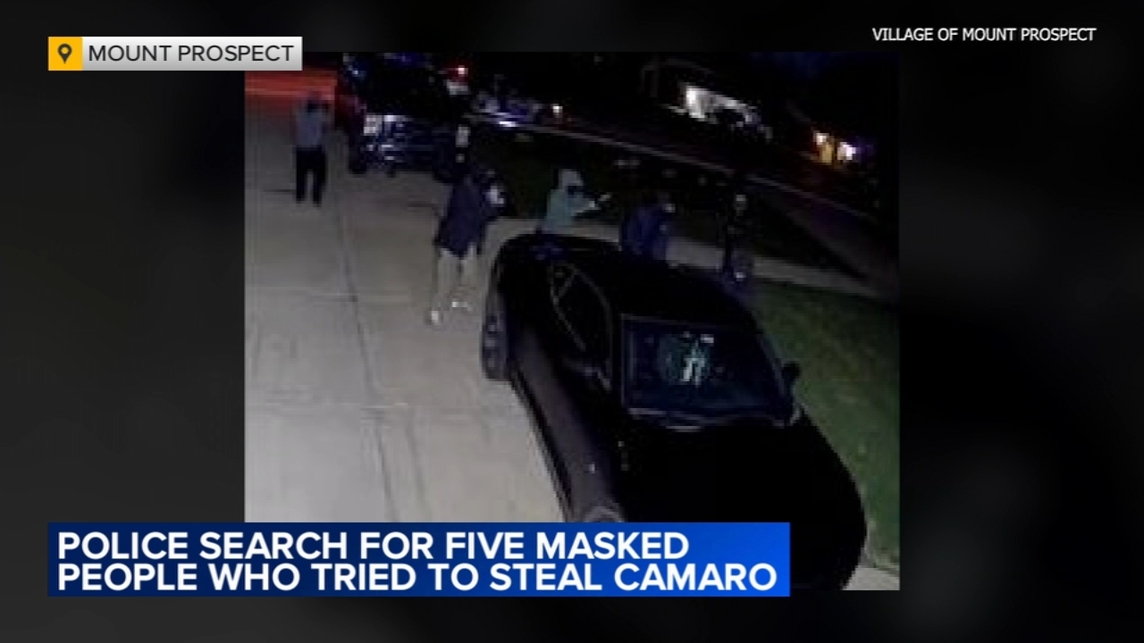 Masked suspects caught on camera in attempted car burglary in Mount ...
